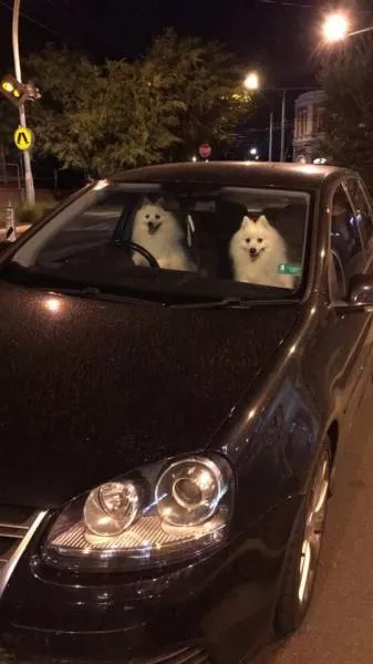 Picdump 36 - #54 