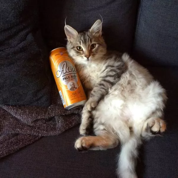 Picdump 36