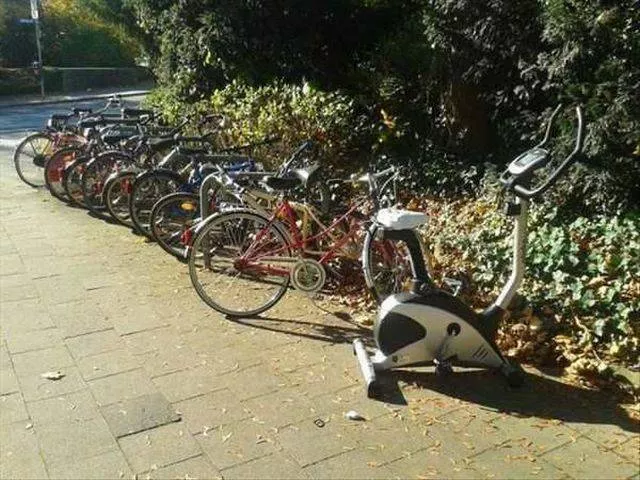 Picdump 193 - #13 