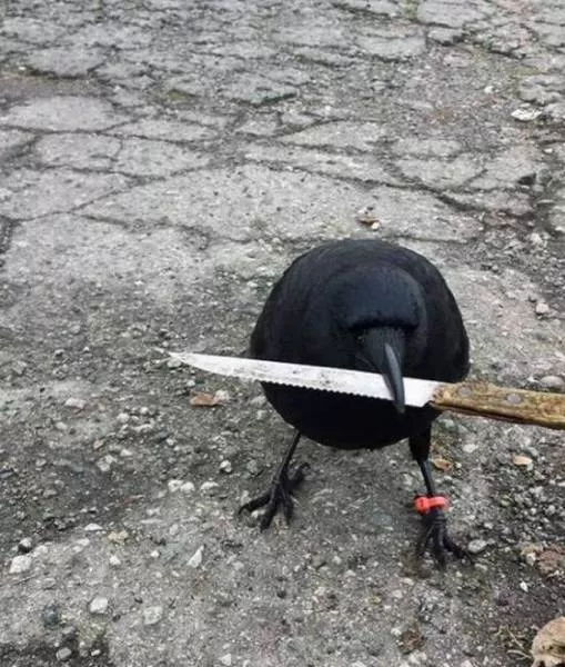 Picdump 193 - #23 