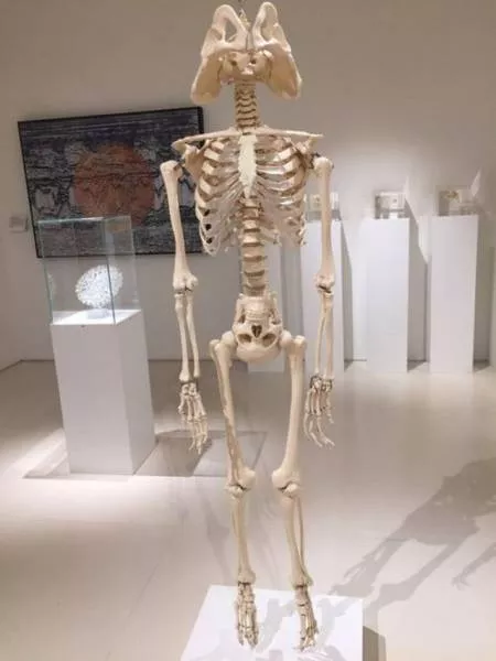 Picdump 193 - #30 