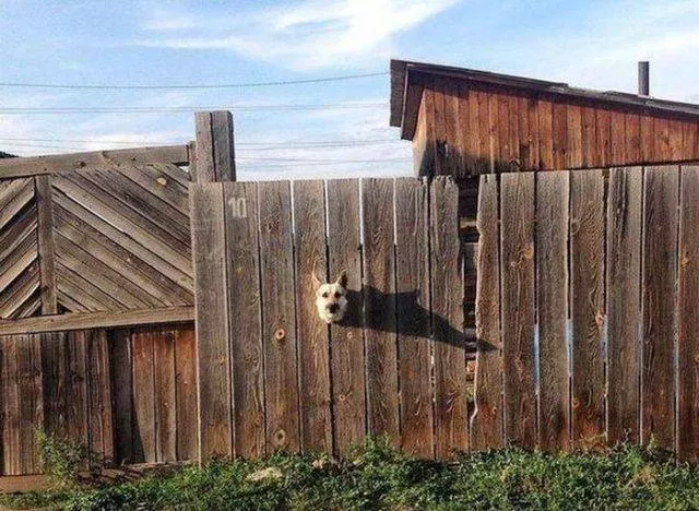 Picdump 193 - #32 