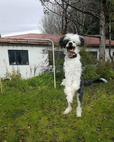 Picdump 193 - #35 