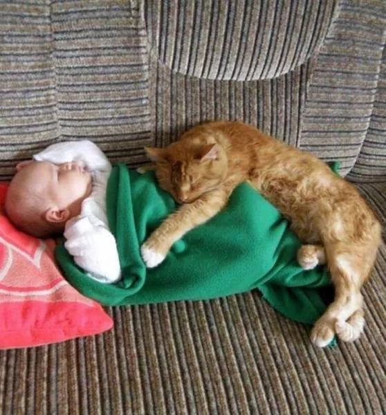 Picdump 193 - #39 