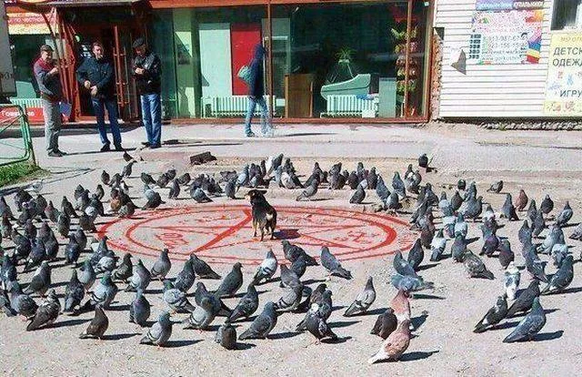 Picdump 193 - #45 