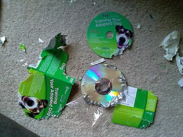 Most fails of all time - #17 