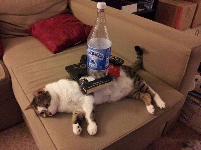 Picdump 194 - #47 