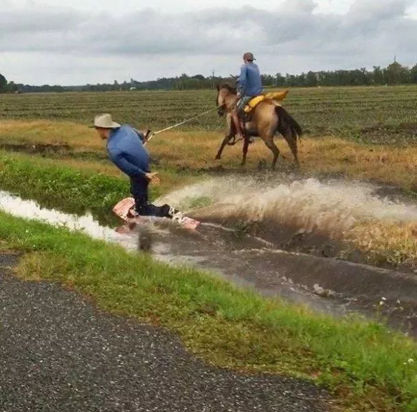Picdump 194 - #58 