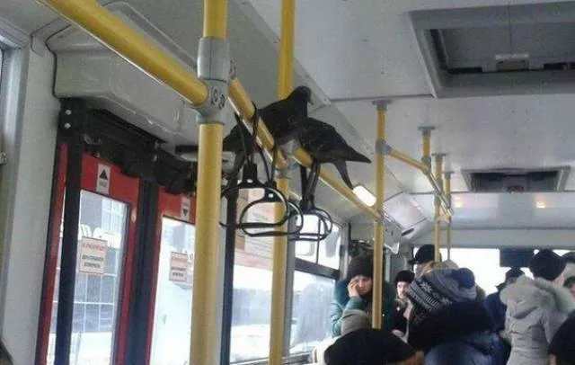Pendant ce temps en russie - #6 