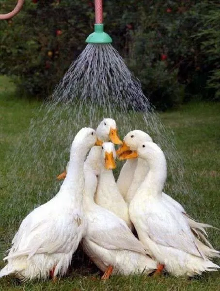 Picdump 195