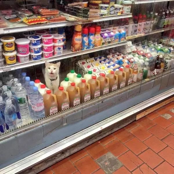 Picdump 195 - #43 