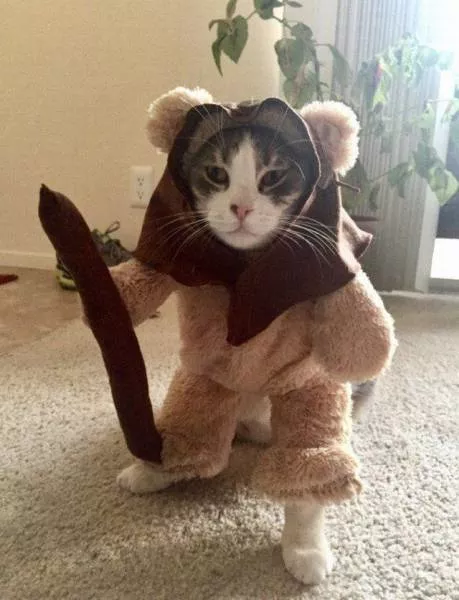 Picdump 195 - #5 
