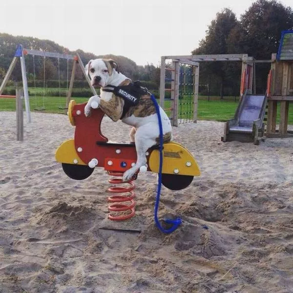 Picdump 195 - #64 