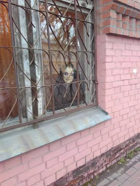Picdump 195 - #65 