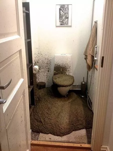 Picdump 195 - #84 