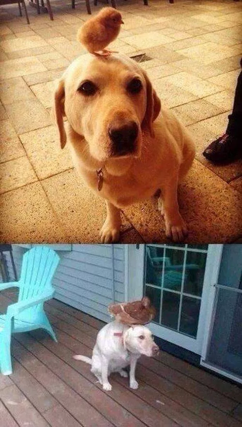 Picdump 195 - #86 