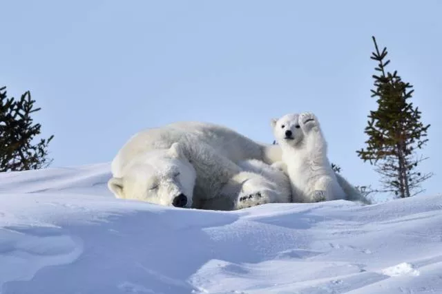 Picdump 196 - #29 