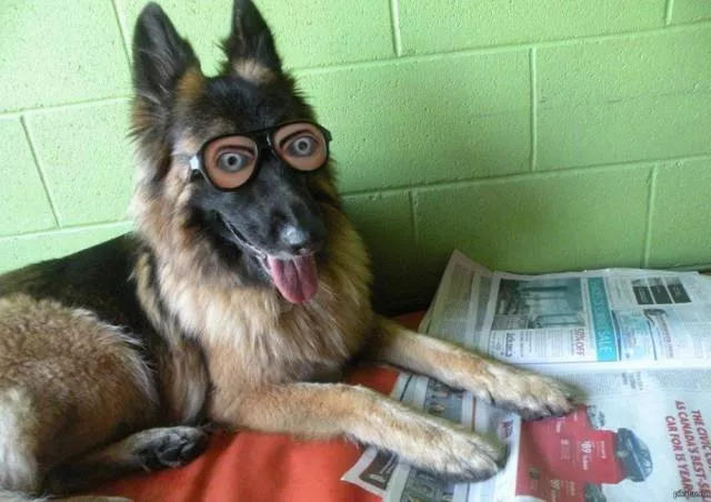 Picdump 196 - #46 