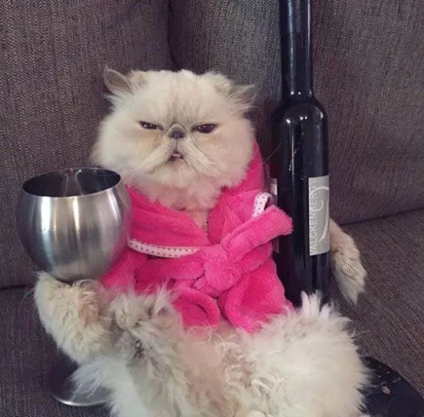 Picdump 196 - #59 