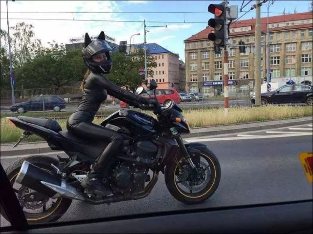 Picdump 197