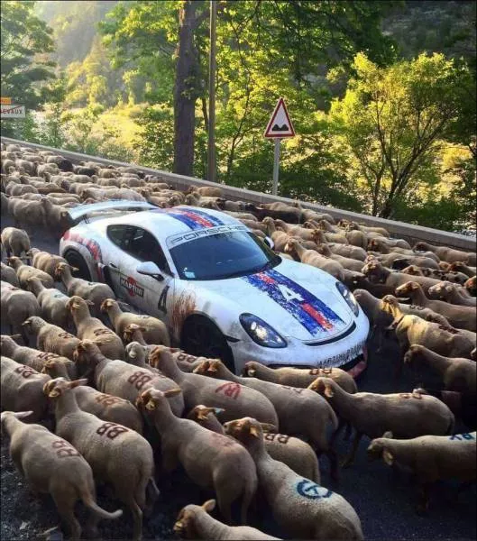 Picdump 197 - #12 