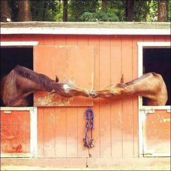 Picdump 197 - #22 