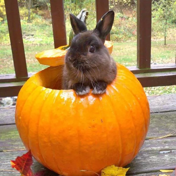Picdump 197 - #29 