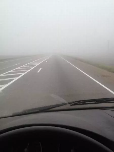 Picdump 197 - #37 