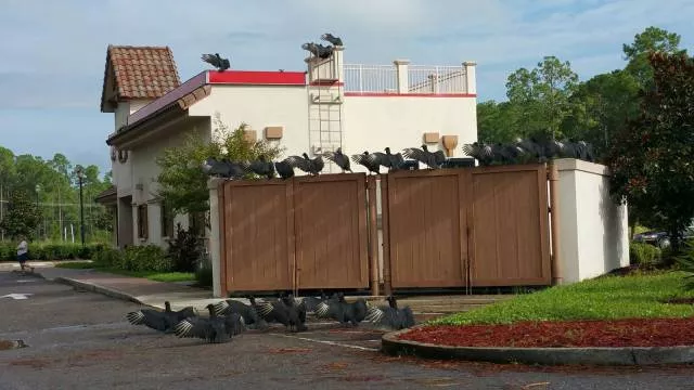 Picdump 197 - #38 