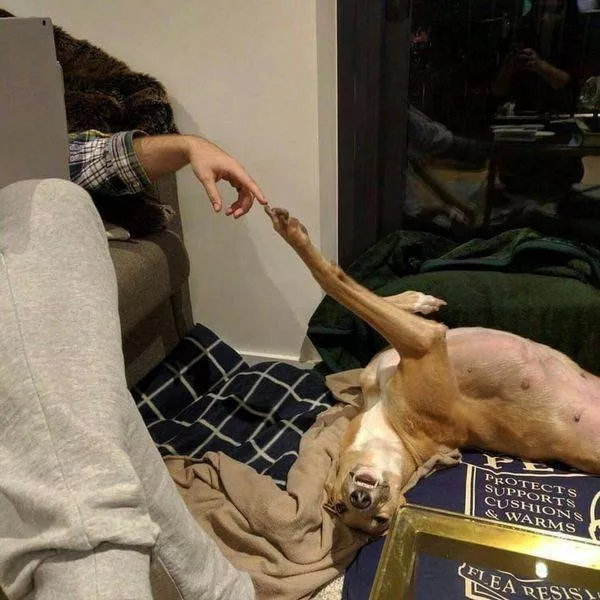 Picdump 197 - #54 