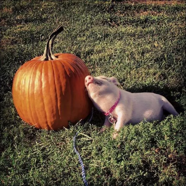 Picdump 197 - #9 