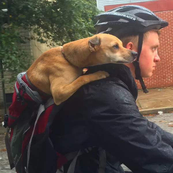Picdump 198 - #20 