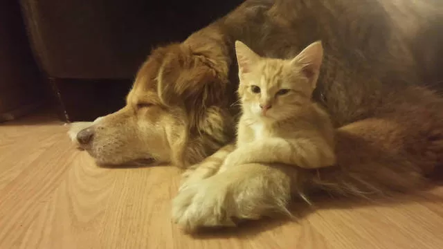 Picdump 198 - #47  Picdump 198 - #47