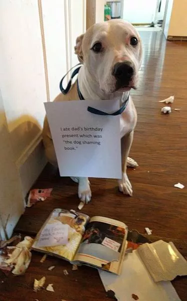 Picdump 198 - #5 