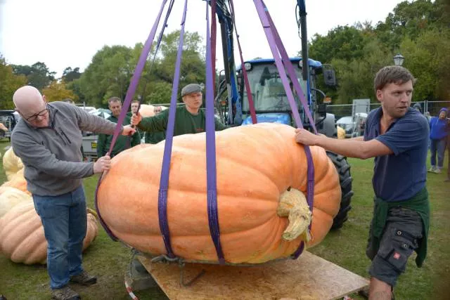 Picdump 199 - #17 