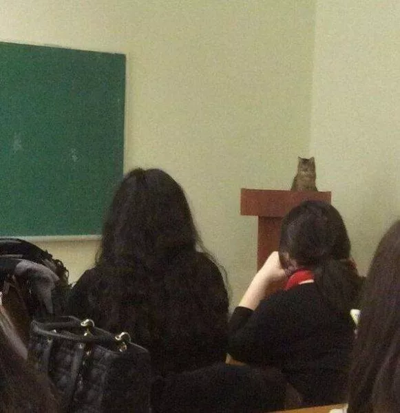 Picdump 199 - #30 