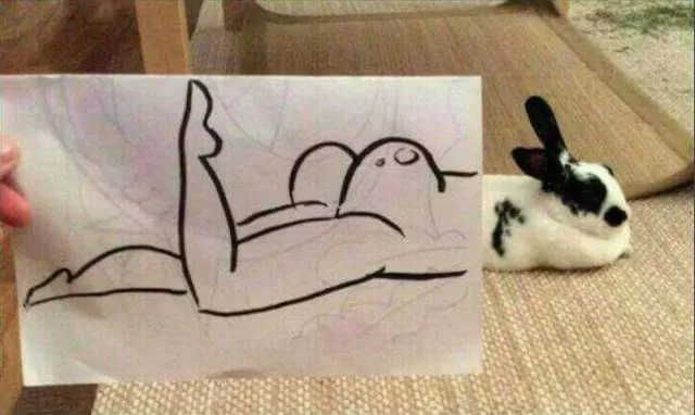 Picdump 199 - #65 