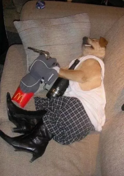 Picdump 199 - #73 