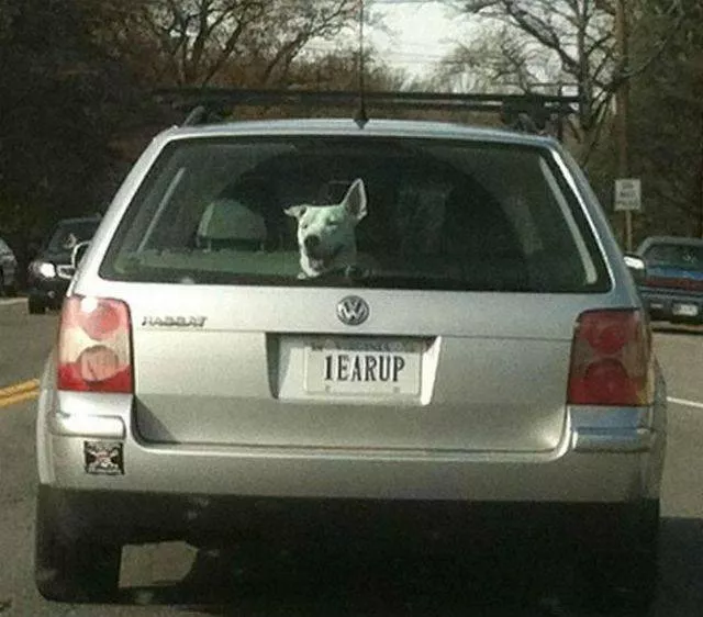 Picdump 199 - #74 