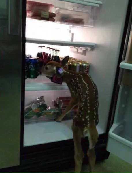 Picdump 199 - #82 