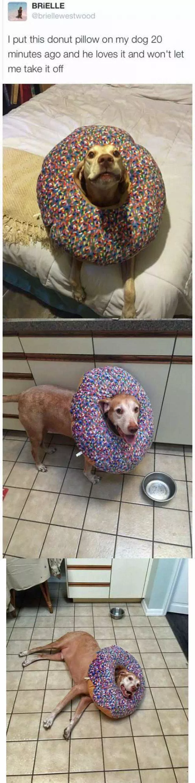 Picdump 199 - #86 