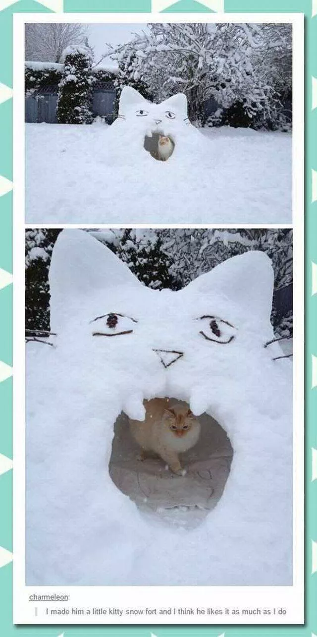 Picdump 199 - #87 