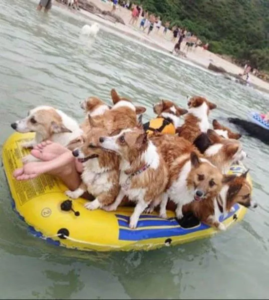 Picdump 37 - #10 