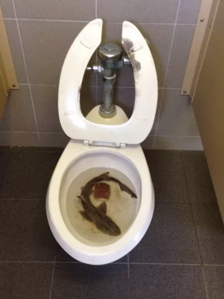 Picdump 37 - #11 