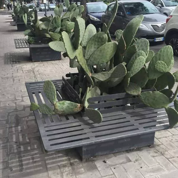 Picdump 37 - #23 