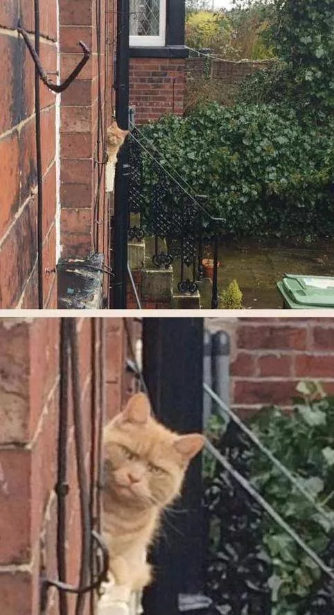 Picdump 37 - #46 