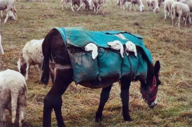 Picdump 37 - #57 