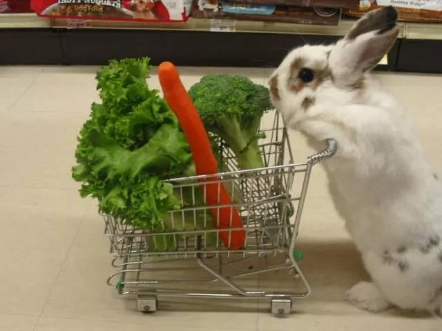 Picdump 37 - #74 