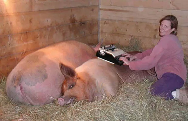 Picdump 37 - #8 
