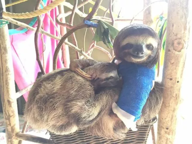 Tiny cute animal - #21 